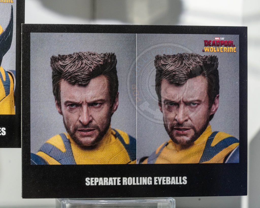 Preorder! Hot Toys MMS754 Deadpool and Wolverine - Wolverine 1/6 Scale Collectible Figure Deluxe Edition