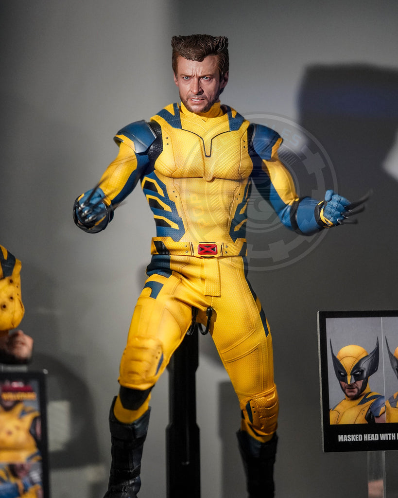 Preorder! Hot Toys MMS754 Deadpool and Wolverine - Wolverine 1/6 Scale Collectible Figure Deluxe Edition