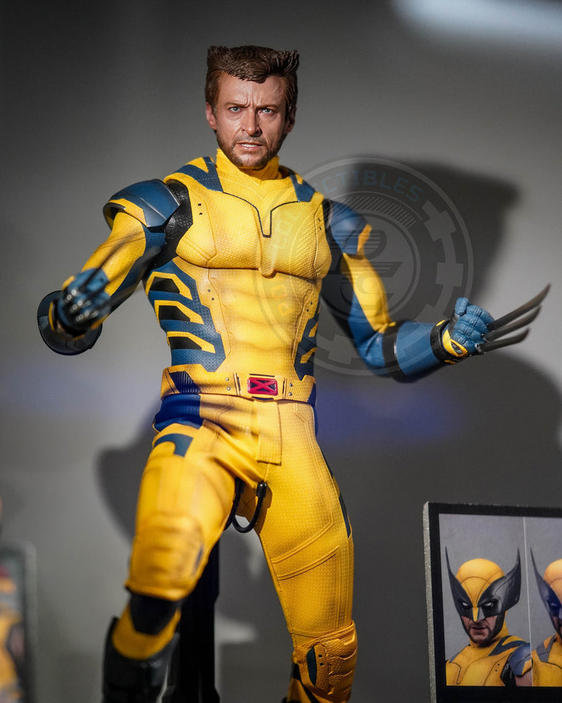 Preorder! Hot Toys MMS754 Deadpool and Wolverine - Wolverine 1/6 Scale Collectible Figure Deluxe Edition