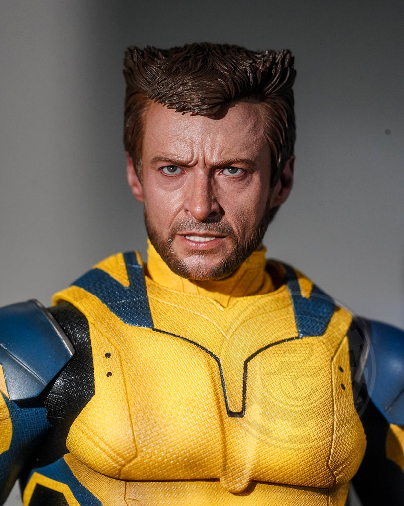 Preorder! Hot Toys MMS754 Deadpool and Wolverine - Wolverine 1/6 Scale Collectible Figure Deluxe Edition