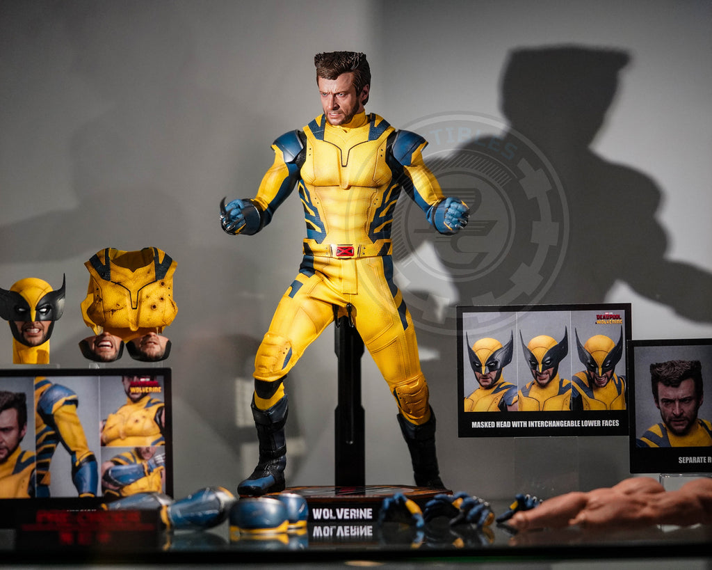 Preorder! Hot Toys MMS754 Deadpool and Wolverine - Wolverine 1/6 Scale Collectible Figure Deluxe Edition