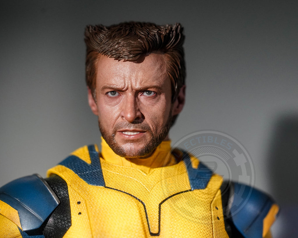 Preorder! Hot Toys MMS754 Deadpool and Wolverine - Wolverine 1/6 Scale Collectible Figure Deluxe Edition