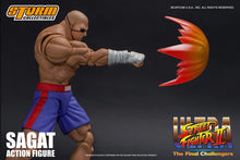 Load image into Gallery viewer, Storm Collectibles - SAGAT USFII Action Figure