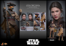 Load image into Gallery viewer, Preorder! Hot Toys MMS854 Star Wars: Return of the Jedi 1/6th scale Leia Organa (Boushh Disguise) Collectible Figure