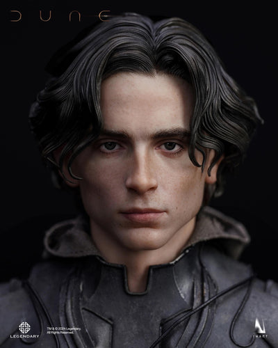 INART DUNE Paul Atreides 1/6 Collectible Figure Standard Edition (Sculpted Hair)