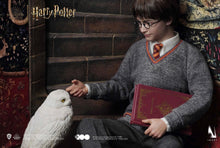 Load image into Gallery viewer, INART Harry Potter and the Philosopher’s Stone Harry Potter Hogwarts Uniform 1/6 (Premium Version)