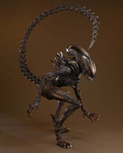 Load image into Gallery viewer, Hot Toys MMS784 Alien: Romulus 1/6th scale Scorched Xenomorph Collectible Figure