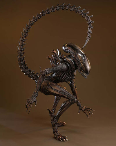 Hot Toys MMS784 Alien: Romulus 1/6th scale Scorched Xenomorph Collectible Figure