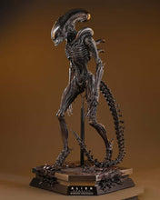 Load image into Gallery viewer, Hot Toys MMS784 Alien: Romulus 1/6th scale Scorched Xenomorph Collectible Figure