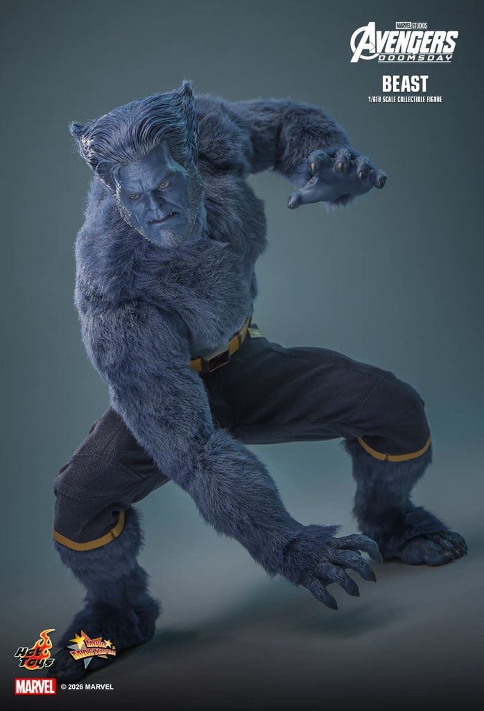 Preorder! Hot Toys MMS920 Avengers: Doomsday 1/6th scale Beast Collectible Figure