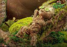Load image into Gallery viewer, Hot Toys TMS088 I Am Groot Groot Collectible Figure Life Size Figure