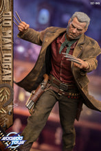 Load image into Gallery viewer, Soosootoys SST045 Old Man Logan