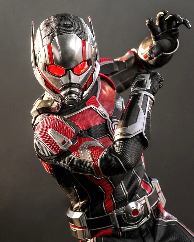 Hot Toys 1/6th Scale Figure Marvel Ant-Man and the Wasp Quantumania Ka –  Infinity Collectables