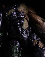 Load image into Gallery viewer, Hot toys TMS027 Spiderman Maximum Venom Venomized Groot Life Size