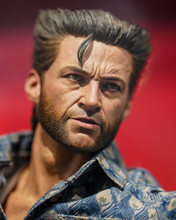 Load image into Gallery viewer, Hot Toys MMS660B X-Men: Days of Future Past 1/6th scale Wolverine (1973 Version) Collectible Figure (Deluxe Version Special Edition)