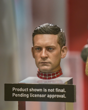 Load image into Gallery viewer, Hot Toys MMS662B Spiderman No Way Home Friendly Neighborhood Spiderman Collectible Figure Deluxe Version Special Edition