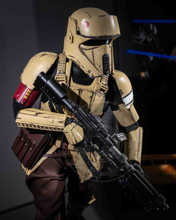 Load image into Gallery viewer, Hot toys TMS031 Star Wars The Mandalorian Shoretrooper