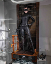 Load image into Gallery viewer, Hot toys MMS627 The Dark Knight Trilogy Catwoman