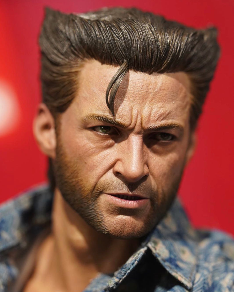 Hot Toys MMS660B X-Men: Days of Future Past 1/6th scale Wolverine (1973 Version) Collectible Figure (Deluxe Version Special Edition)