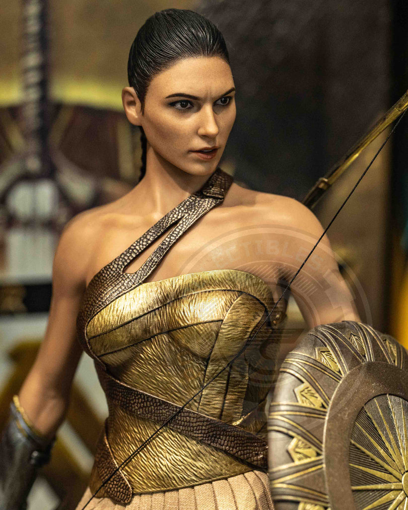 Hot toys MMS424 DC Wonder Woman Training Armor Version