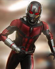 Load image into Gallery viewer, Hot Toys MMS497 Marvel Antman and the Wasp Antman