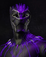 Load image into Gallery viewer, Hot toys MMS470 The Black Panther T’Challa