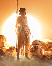 Load image into Gallery viewer, Hot toys MMS337 Star Wars The Force Awaken Rey and BB8