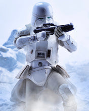 Load image into Gallery viewer, Hot toys VGM25 Star Wars Snowtrooper Two Pack