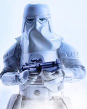 Load image into Gallery viewer, Hot toys VGM25 Star Wars Snowtrooper Two Pack